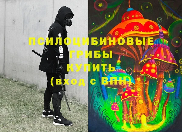 соль курить ск Каменка