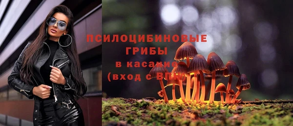 спайс Каменногорск