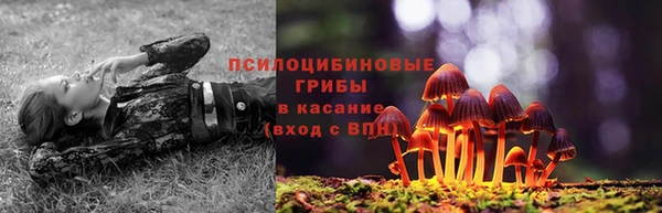 соль курить ск Каменка