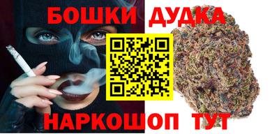 прущие грибы Абакан