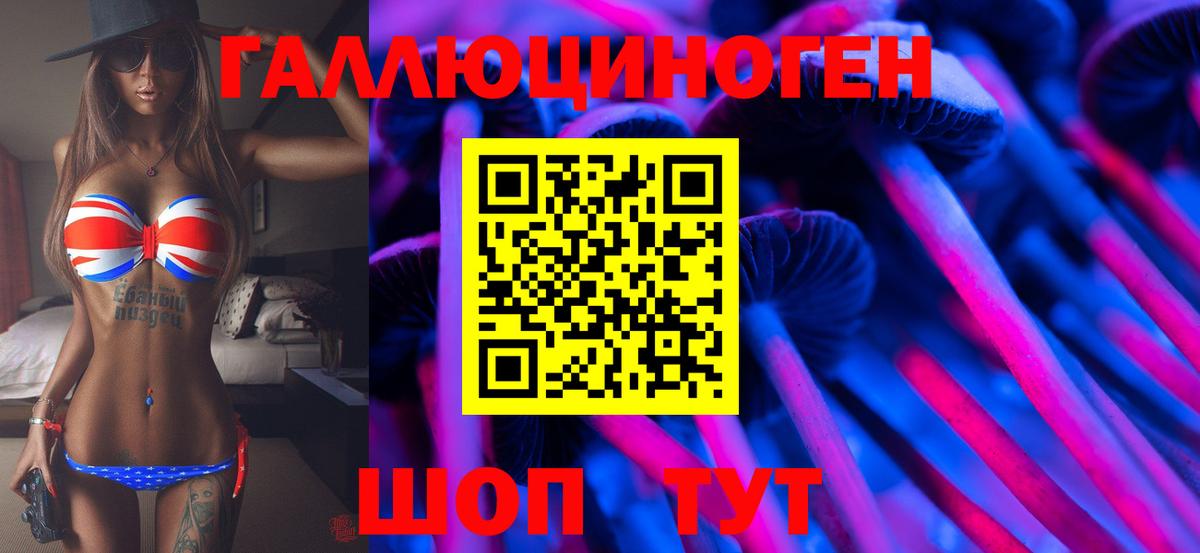 Псилоцибиновые грибы Psilocybe Карталы