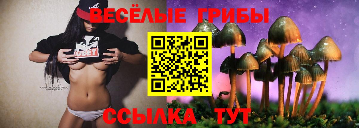 цены наркотик  Вход с VPN  Карталы  Галлюциногенные грибы Psilocybe  Галлюциногенные грибы Psilocybe 